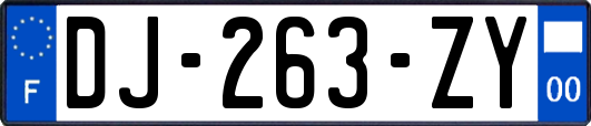 DJ-263-ZY