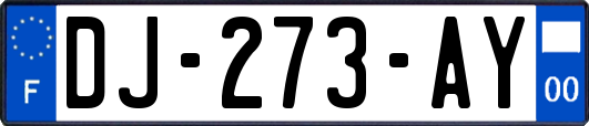 DJ-273-AY