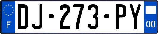 DJ-273-PY