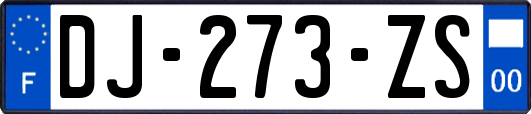 DJ-273-ZS