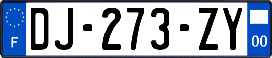 DJ-273-ZY