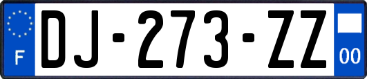 DJ-273-ZZ