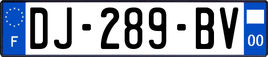 DJ-289-BV