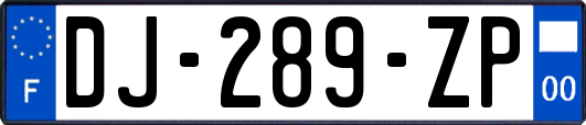 DJ-289-ZP