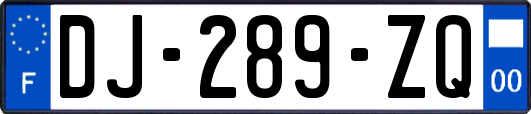 DJ-289-ZQ