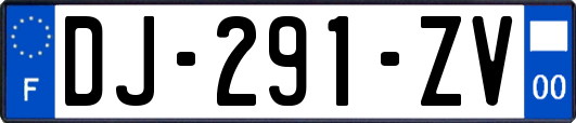 DJ-291-ZV