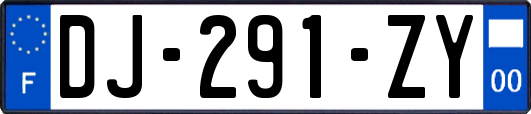 DJ-291-ZY