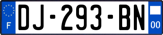 DJ-293-BN