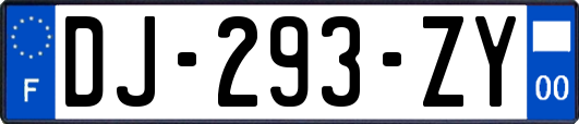 DJ-293-ZY