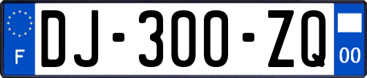 DJ-300-ZQ