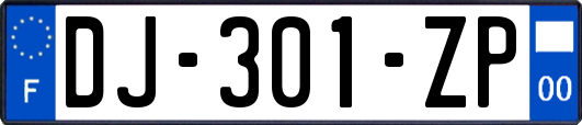 DJ-301-ZP