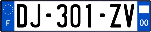 DJ-301-ZV