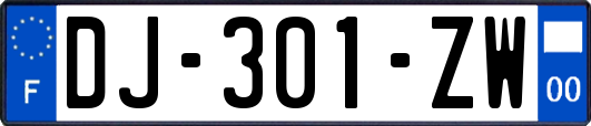 DJ-301-ZW