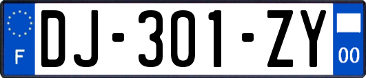 DJ-301-ZY