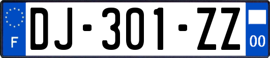 DJ-301-ZZ