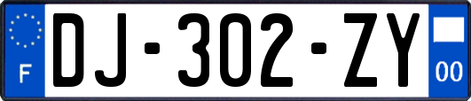 DJ-302-ZY