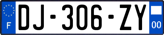 DJ-306-ZY