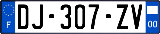 DJ-307-ZV