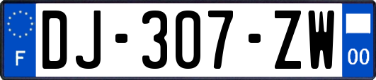 DJ-307-ZW