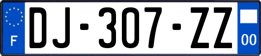 DJ-307-ZZ