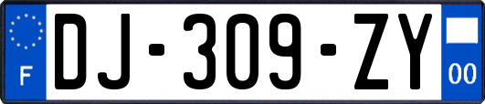DJ-309-ZY