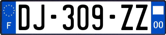 DJ-309-ZZ