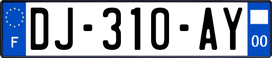 DJ-310-AY