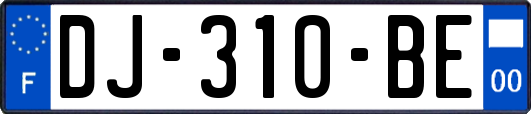 DJ-310-BE