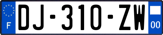 DJ-310-ZW