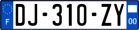 DJ-310-ZY