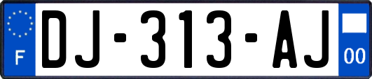 DJ-313-AJ