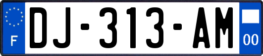 DJ-313-AM