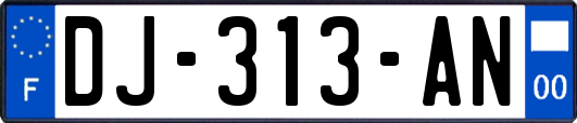 DJ-313-AN