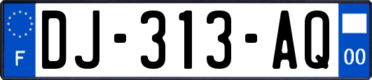 DJ-313-AQ