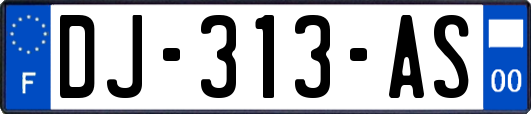 DJ-313-AS