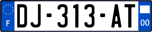 DJ-313-AT