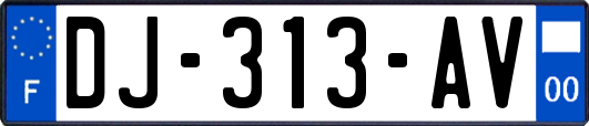 DJ-313-AV