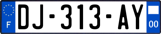 DJ-313-AY