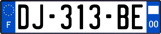 DJ-313-BE