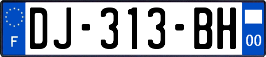 DJ-313-BH