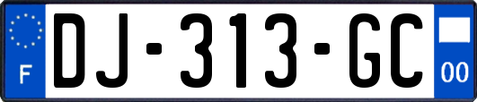 DJ-313-GC