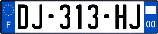 DJ-313-HJ