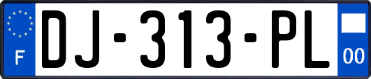 DJ-313-PL