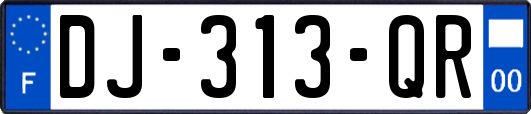 DJ-313-QR