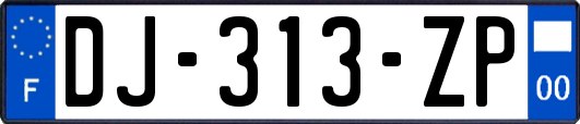 DJ-313-ZP