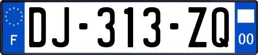 DJ-313-ZQ