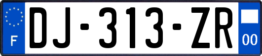 DJ-313-ZR