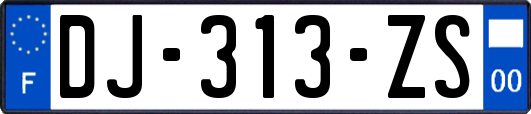 DJ-313-ZS