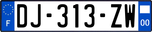 DJ-313-ZW