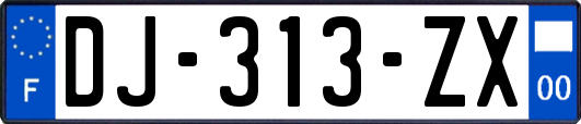 DJ-313-ZX